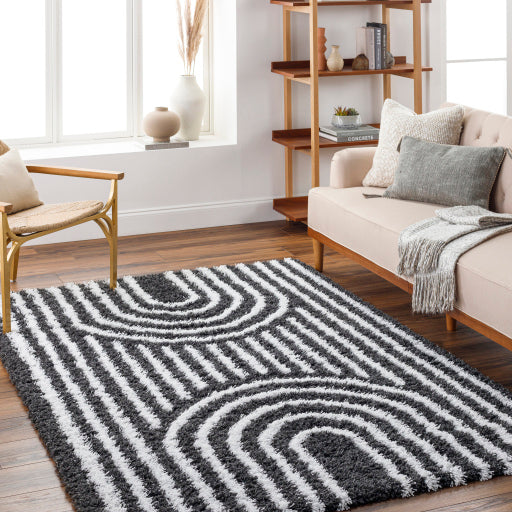 Surya Urban Shag USG-2318 Black Global Rug