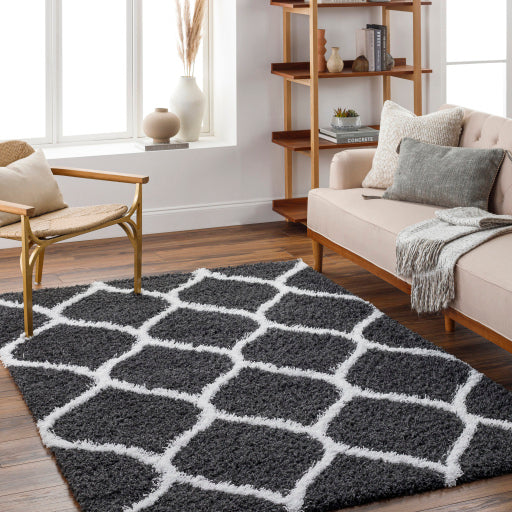 Surya Urban Shag USG-2322 Black Cottage Rug