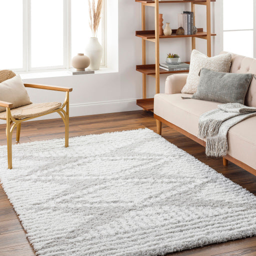Surya Urban Shag USG-2325 Light Gray Global Rug