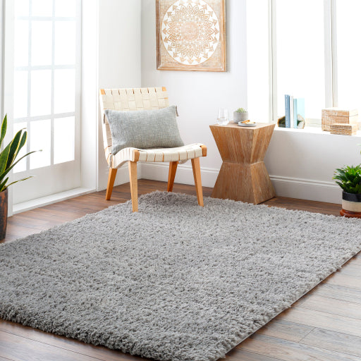 Surya Verde VDE-2304 Gray Modern Rug