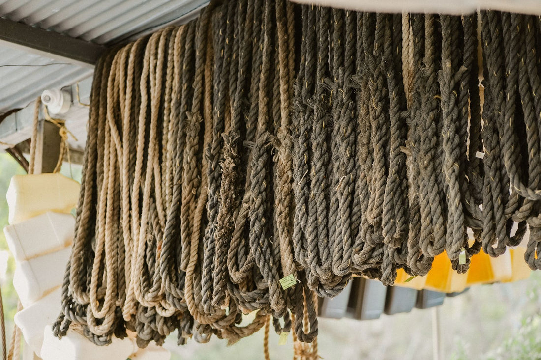 Close-up of various ropes hanging from the ceiling in an outdoor storage area.