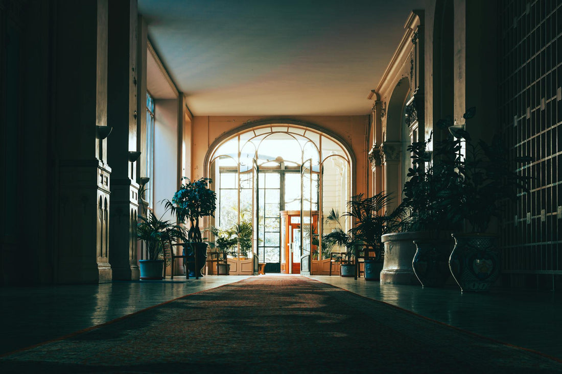 A tranquil indoor hallway adorned with plants, bathes in soft natural light.