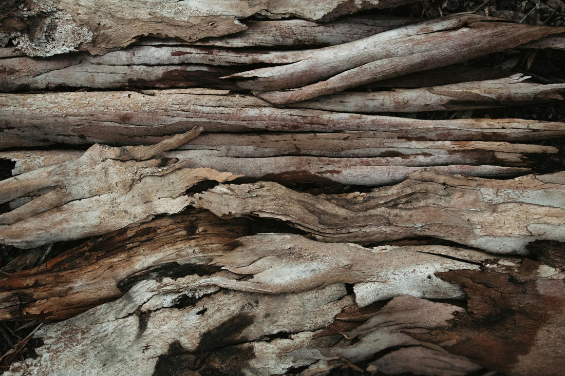 Close-up of weathered driftwood showcasing its rough texture and earthy hues.