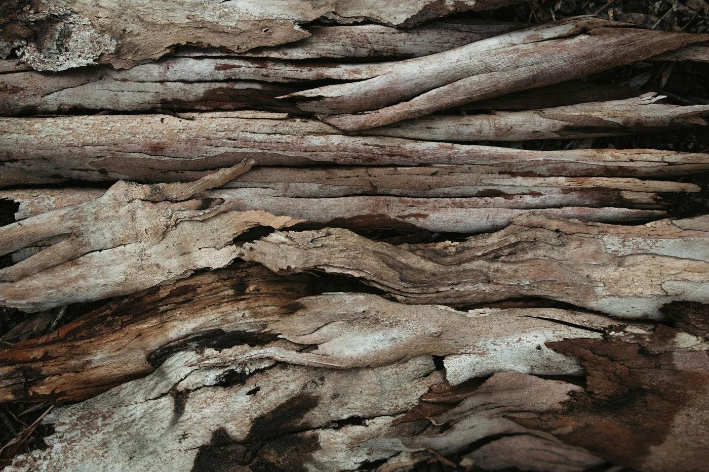 Close-up of weathered driftwood showcasing its rough texture and earthy hues.