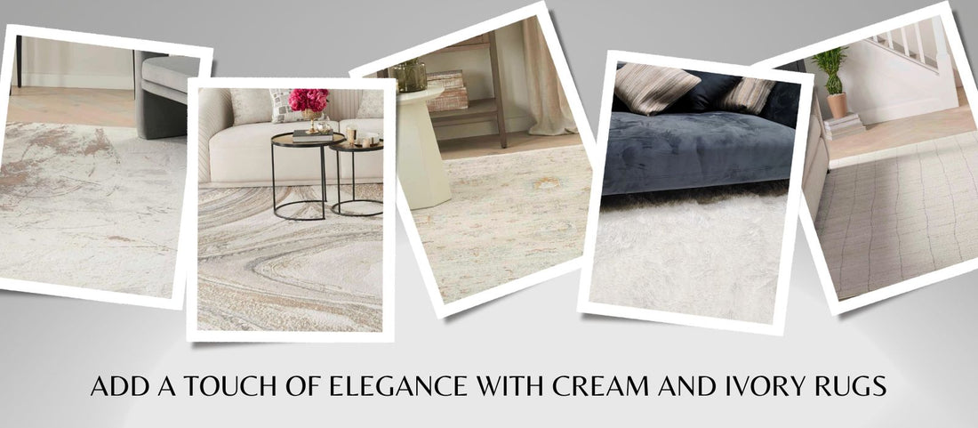 Cream and Ivory Rugs