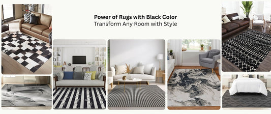 Power of Rugs with Black Color: Transform Any Room with Style