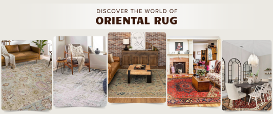 Discover the World of Oriental Rug