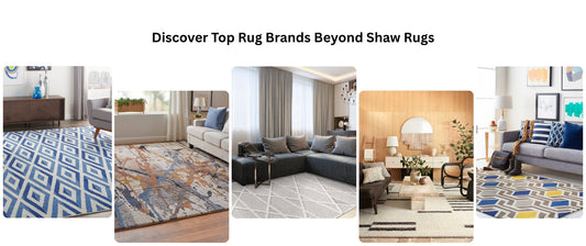 Discover Top Rug Brands Beyond Shaw Rugs