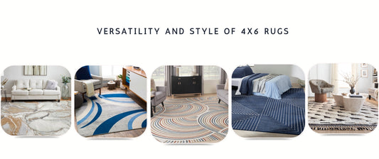 Versatility and Style of Rugs 4 x 6