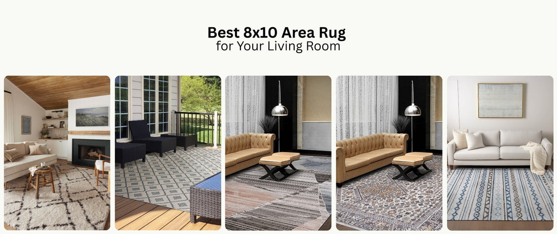 Best 8x10 Area Rug for Your Living Room