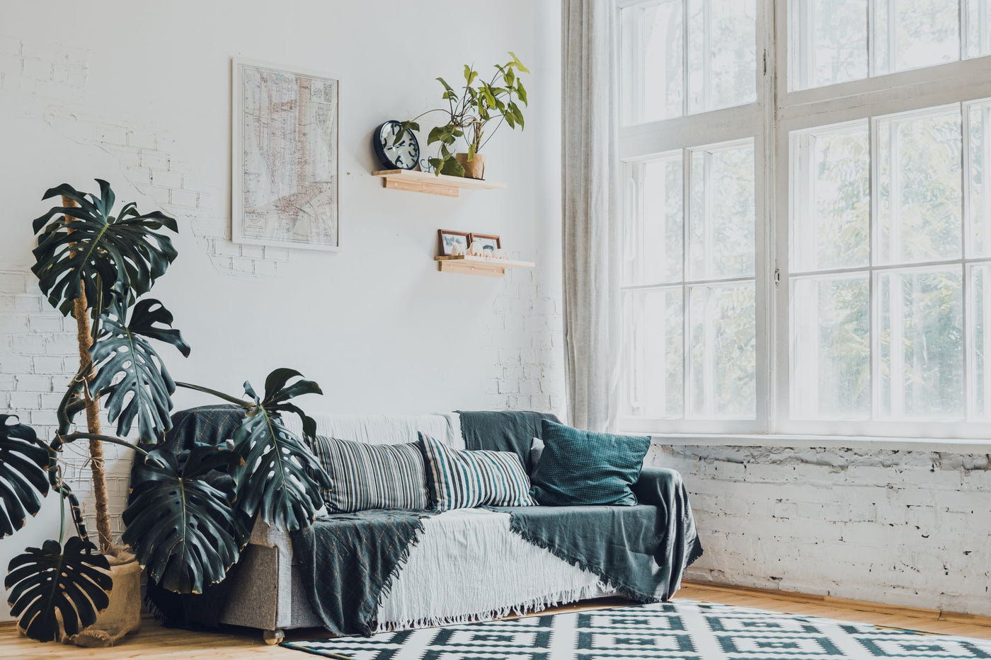 Bright and modern living room featuring monstera plants and cozy decor.