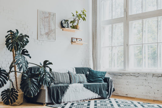 Bright and modern living room featuring monstera plants and cozy decor.