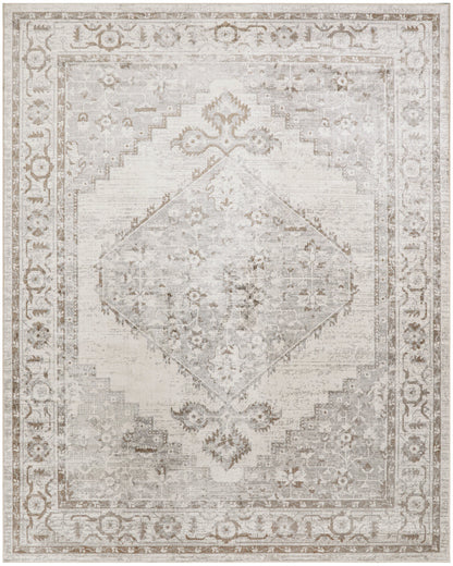 Nourison Home Astra Machine Washable ASW11 Grey Traditional Power-loomed Rug