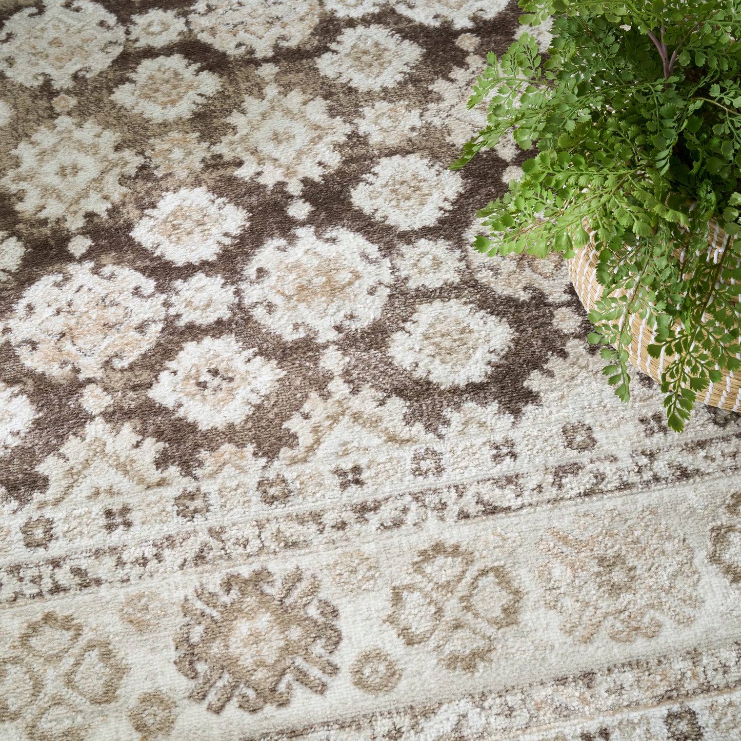 Nourison Home Dekor  Ivory Brown  Traditional