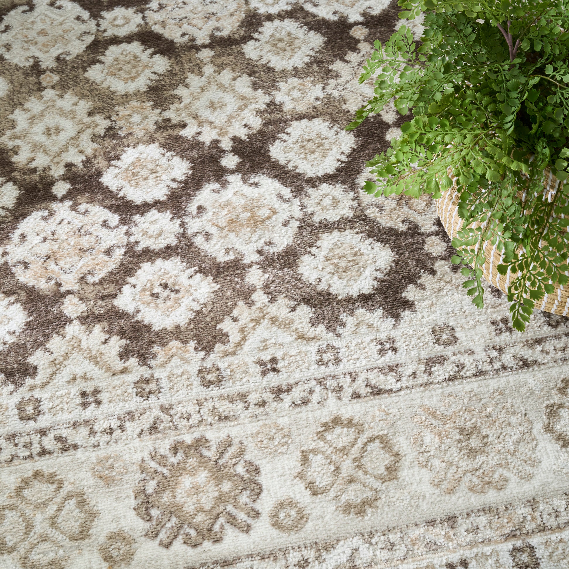 Nourison Home Dekor  Ivory Brown  Traditional