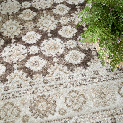 Nourison Home Dekor  Ivory Brown  Traditional