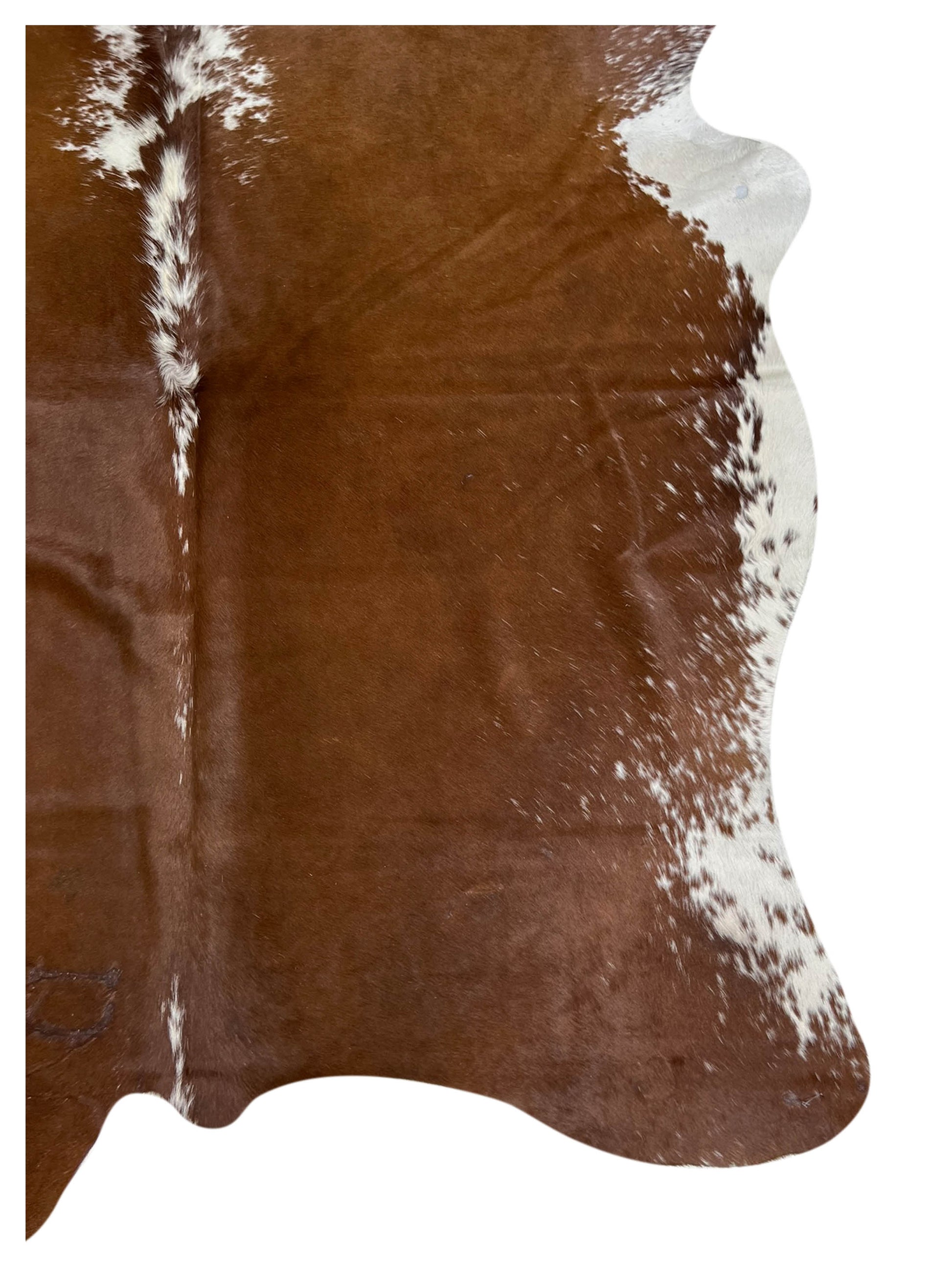 Artisan Claire 5558 Brown  Hair on Hide Cowhide Shape Rug
