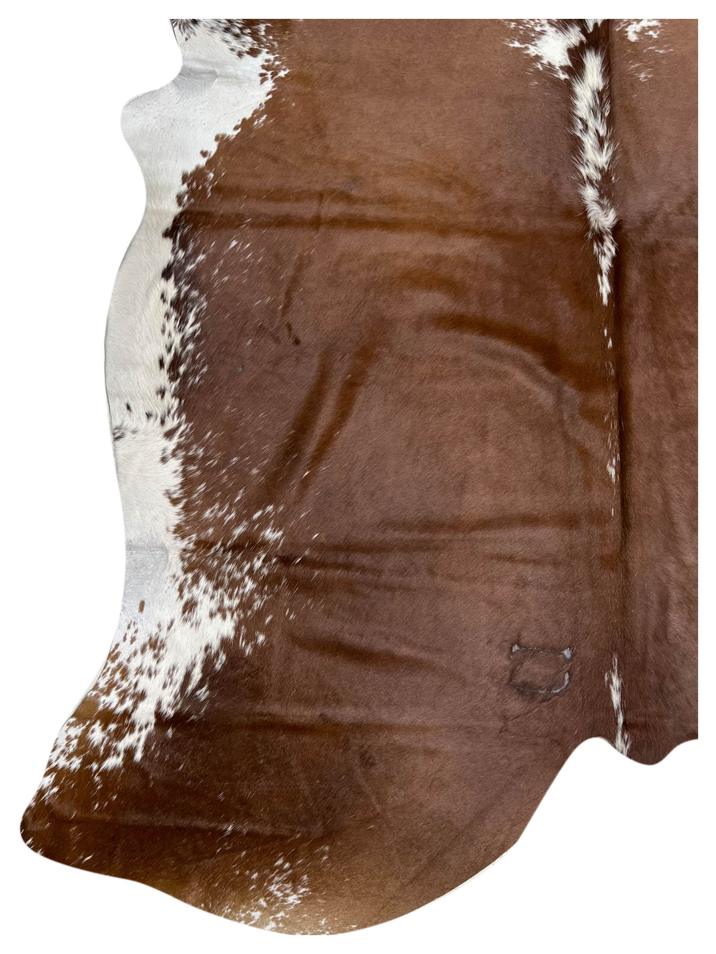 Artisan Claire 5558 Brown  Hair on Hide Cowhide Shape Rug