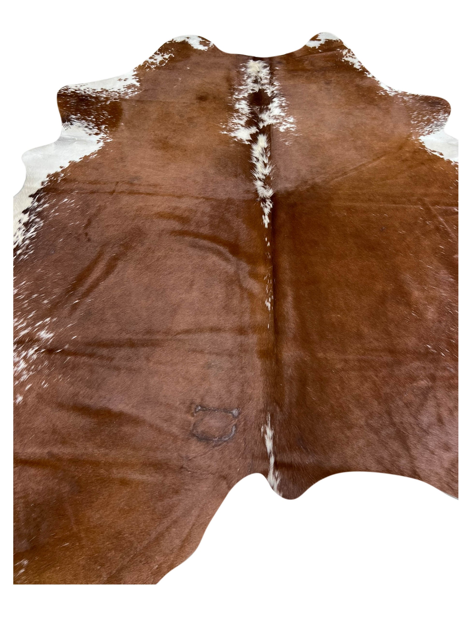 Artisan Claire 5558 Brown  Hair on Hide Cowhide Shape Rug
