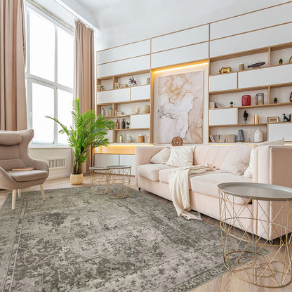 Artisan Nova Beige Transitional Knotted Rugs