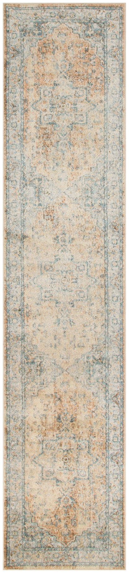 Nourison Home Astra Machine Washable ASW12 Beige Blue Traditional Power-loomed Rug