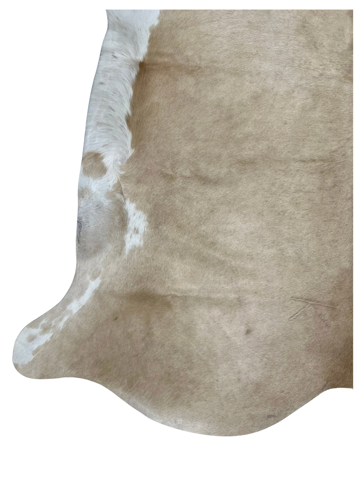 Artisan Claire 5546 Taupe White Hair on Hide Cowhide Shape Rug