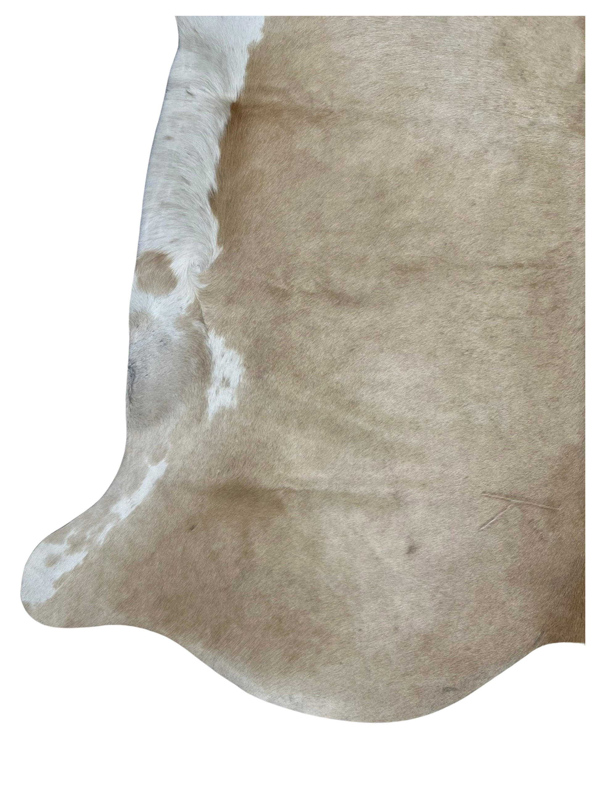 Artisan Claire 5546 Taupe White Hair on Hide Cowhide Shape Rug