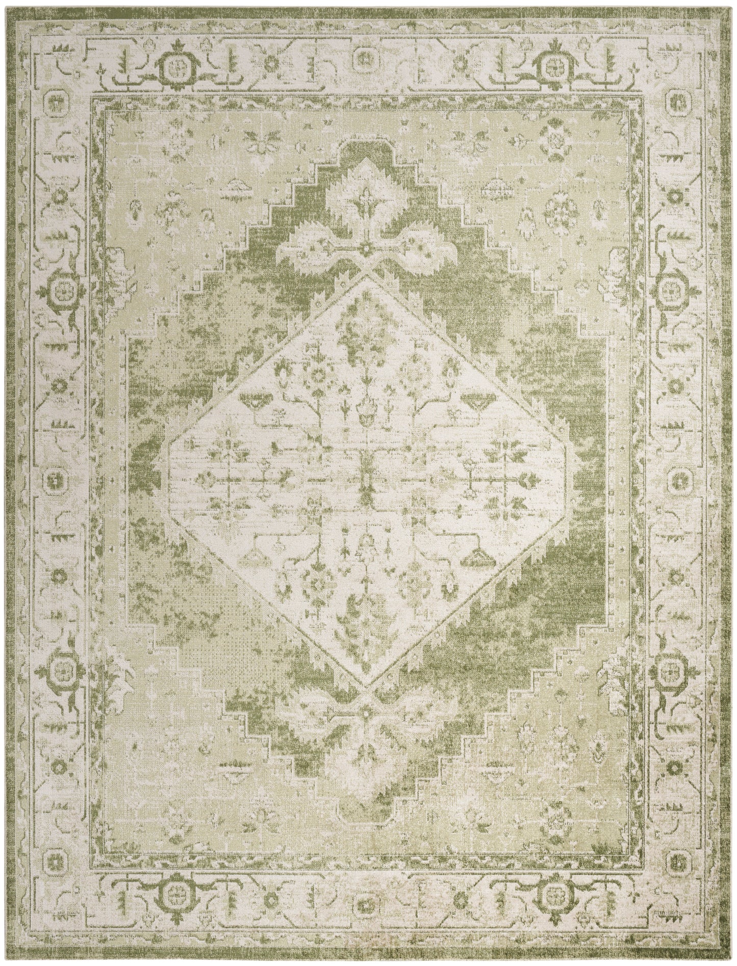 Nourison Home Astra Machine Washable ASW11 Ivory Green Traditional Power-loomed Rug