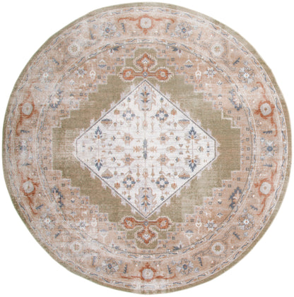 Nourison Home Astra Machine Washable ASW11 Sage Multicolor Traditional Power-loomed Rug