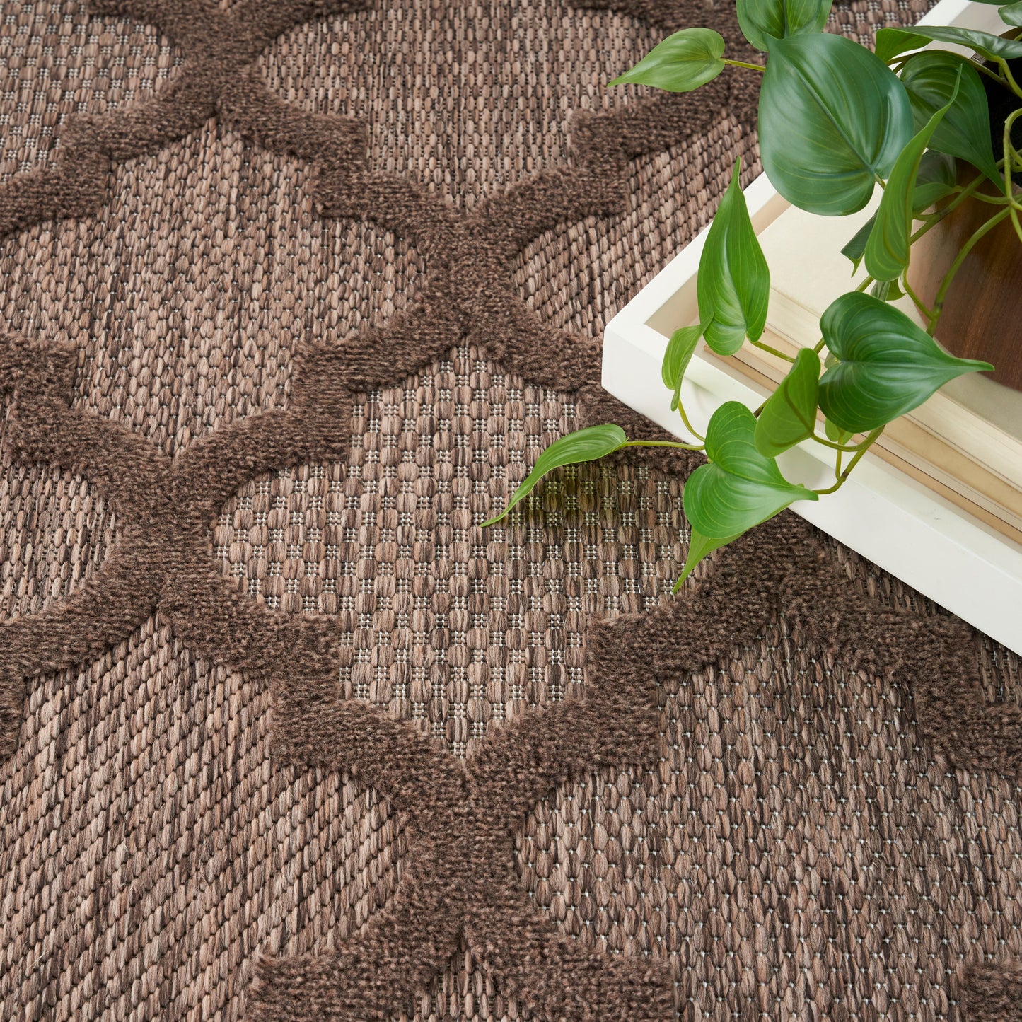 Nourison Home Easy Care  Brown  Contemporary