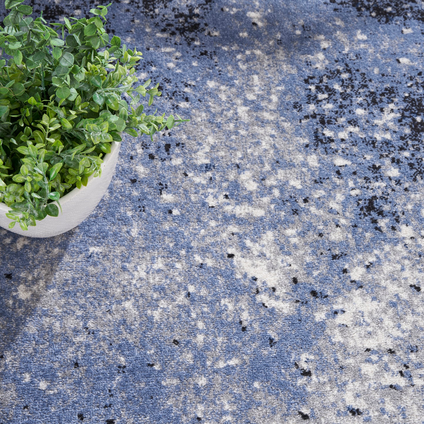 Nourison Home Passion  Light Blue Black  Contemporary