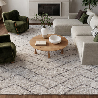 Nourison Home Dreamy Shag  Ivory Grey  Contemporary
