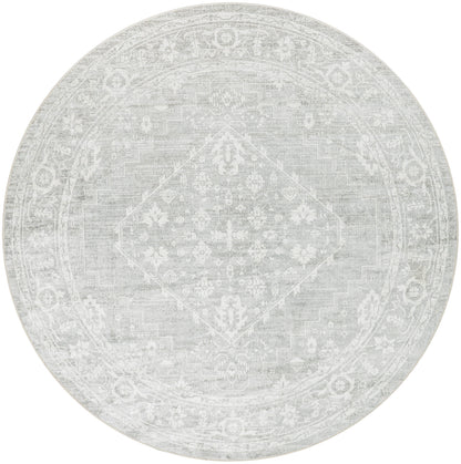 Nourison Home Astra Machine Washable ASW11 Light Grey Traditional Power-loomed Rug