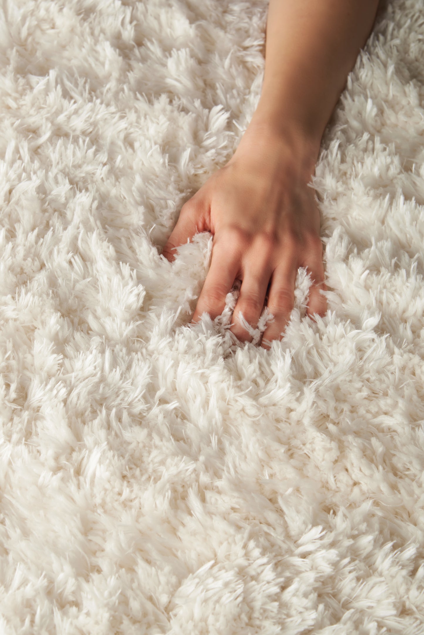 Nourison Home Luxe Shag  Ivory  Contemporary