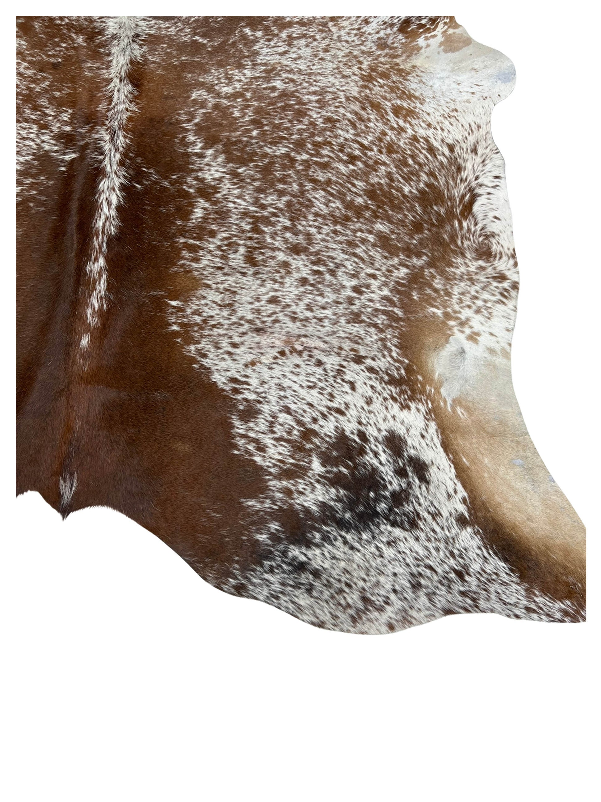 Artisan Claire 5583 White Brown Hair on Hide Cowhide Shape Rug