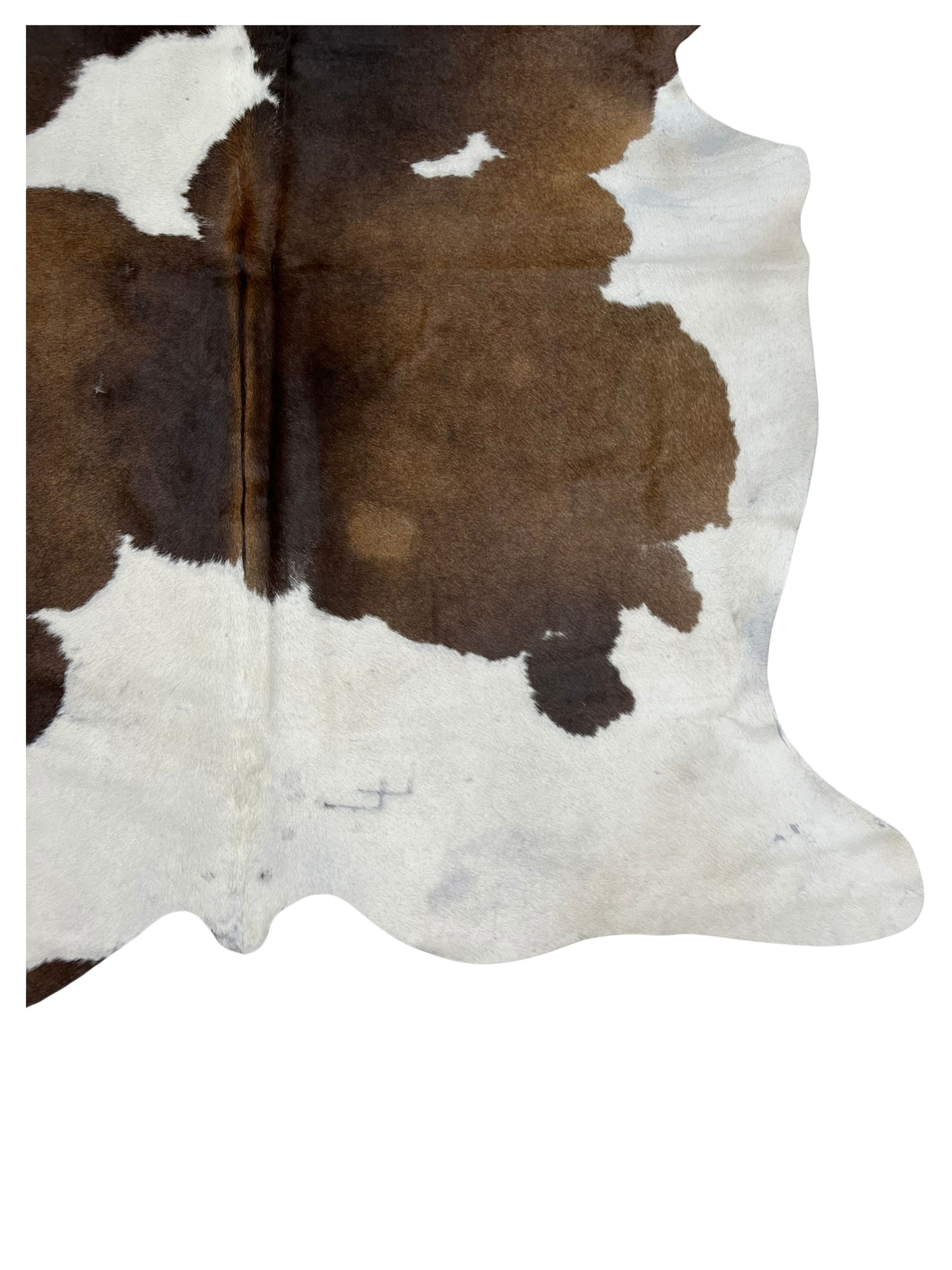 Artisan Claire 5581 Brown White Hair on Hide Cowhide Shape Rug