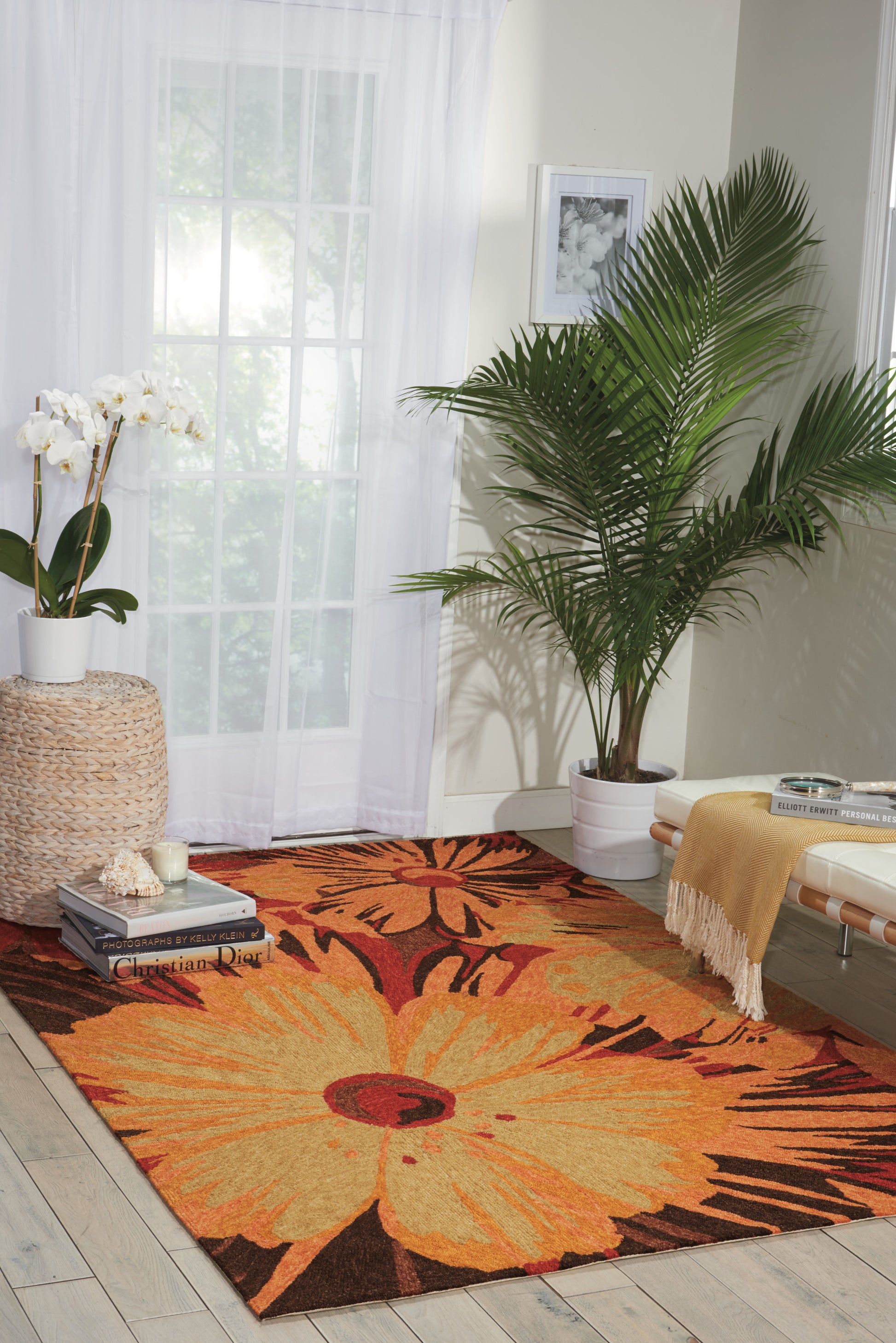 Nourison Home South Beach  Multicolor  Contemporary
