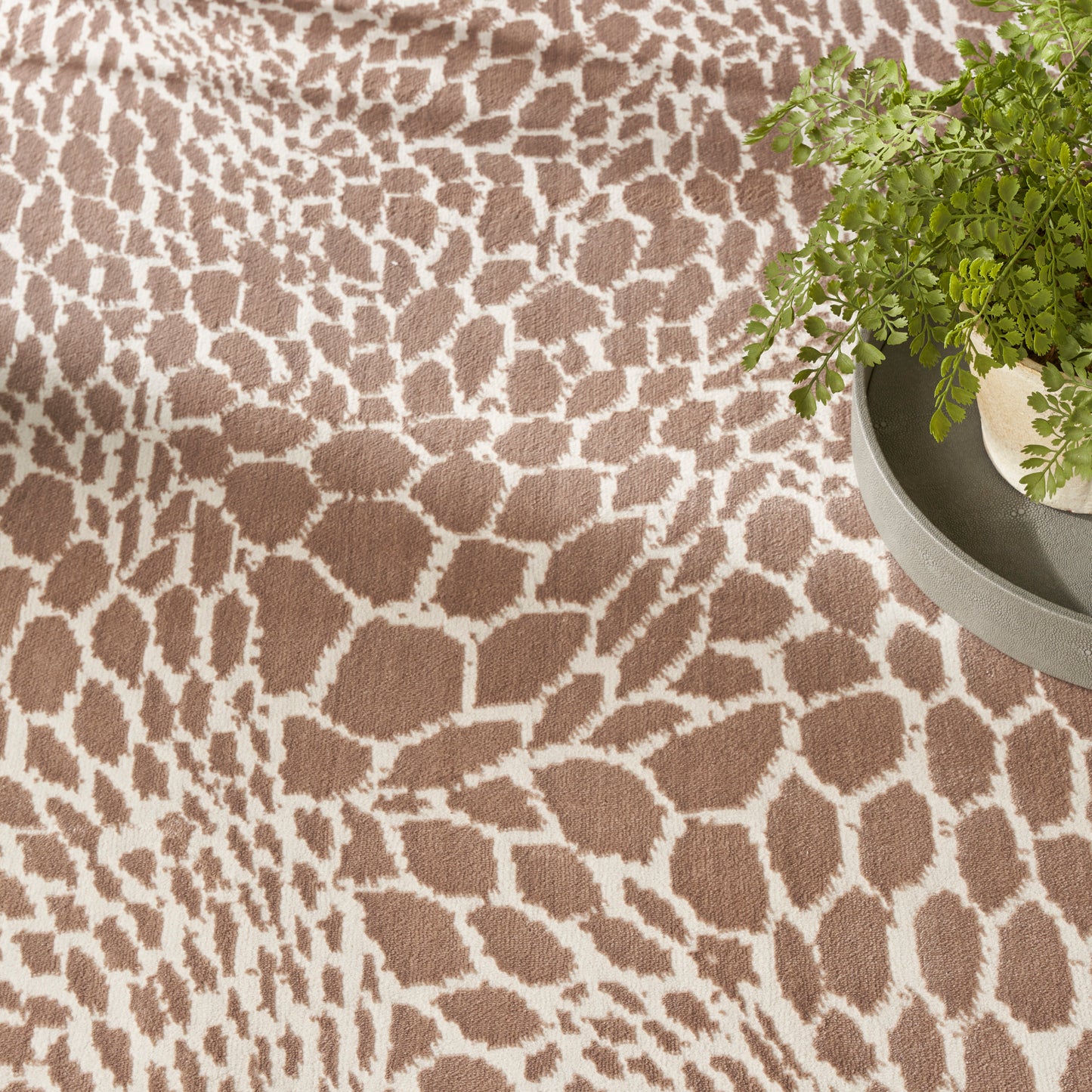 Nourison Home Desire  Camel Silver  Contemporary