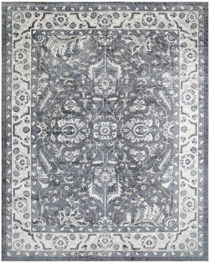 Nourison Home Astra Machine Washable ASW20 Slate Traditional Power-loomed Rug
