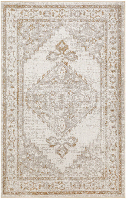 Nourison Home Astra Machine Washable ASW11 Grey Traditional Power-loomed Rug