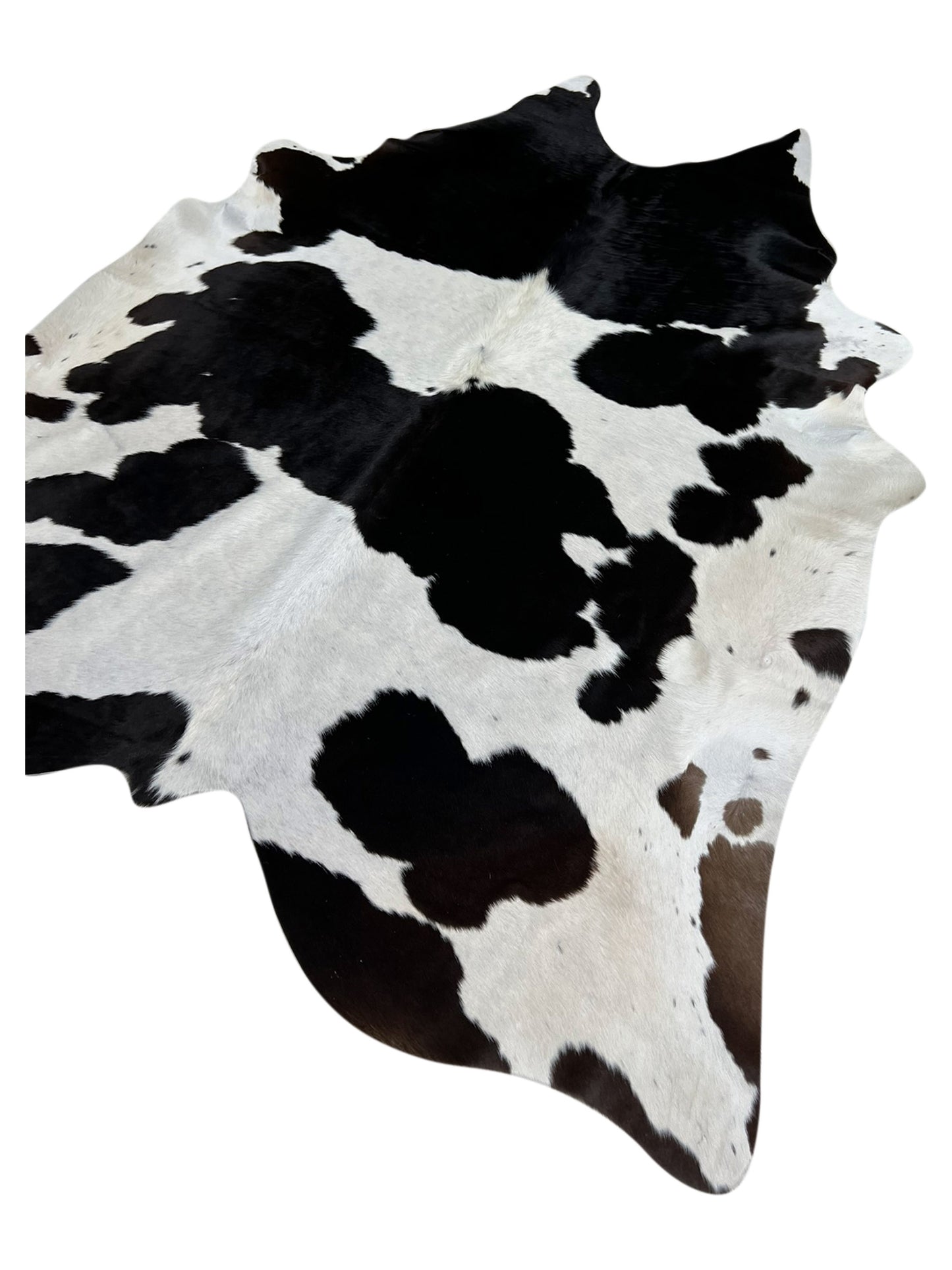 Artisan Claire 5556 Black White Hair on Hide Cowhide Shape Rug