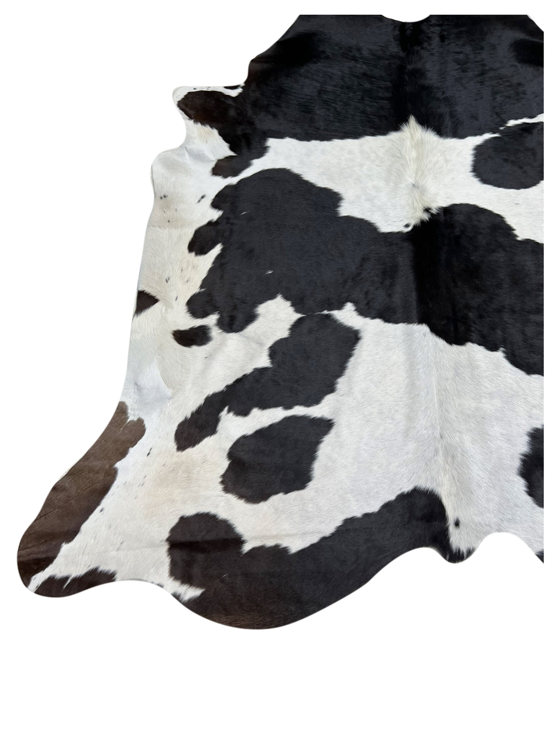 Artisan Claire 5556 Black White Hair on Hide Cowhide Shape Rug