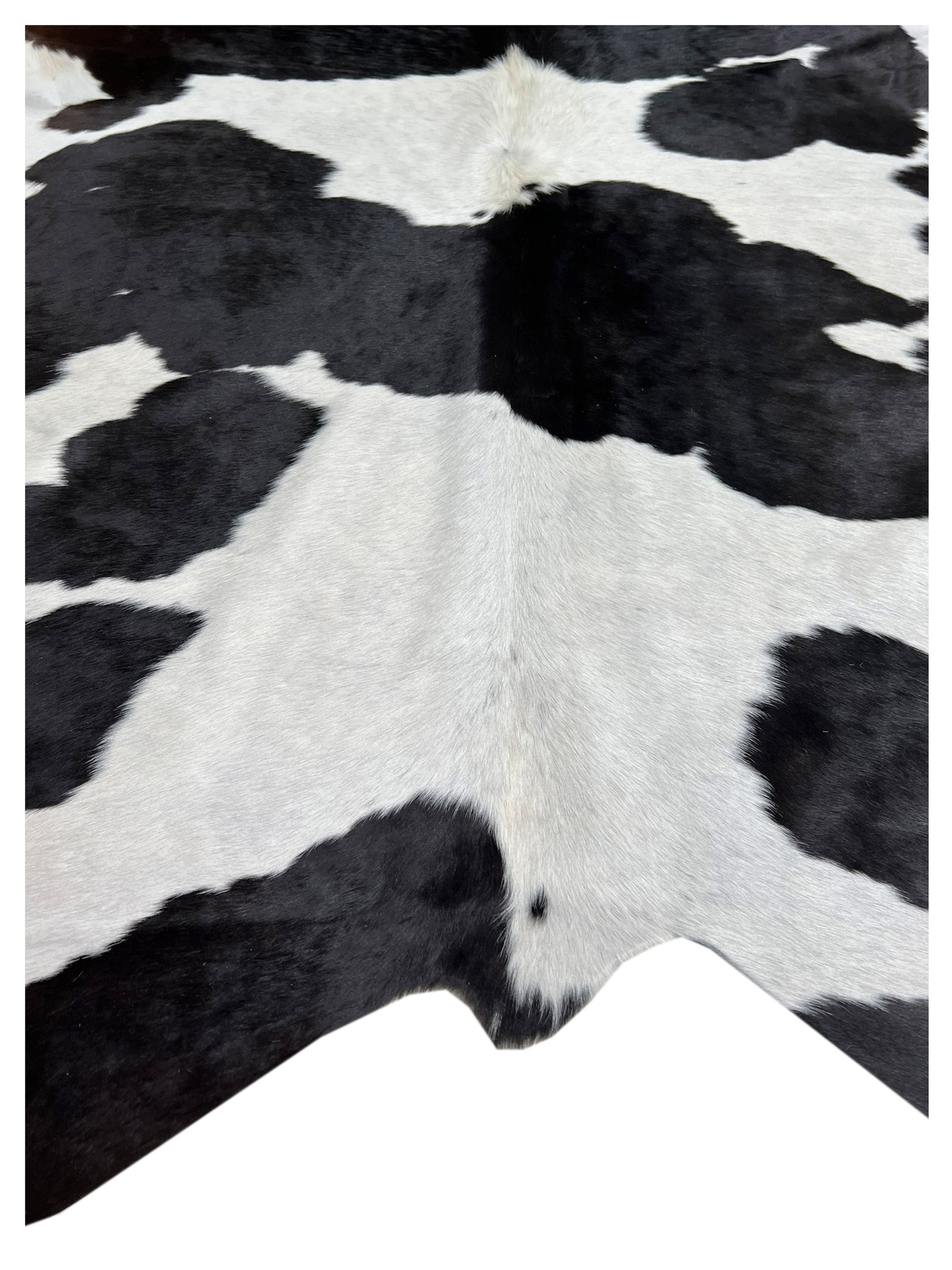 Artisan Claire 5556 Black White Hair on Hide Cowhide Shape Rug