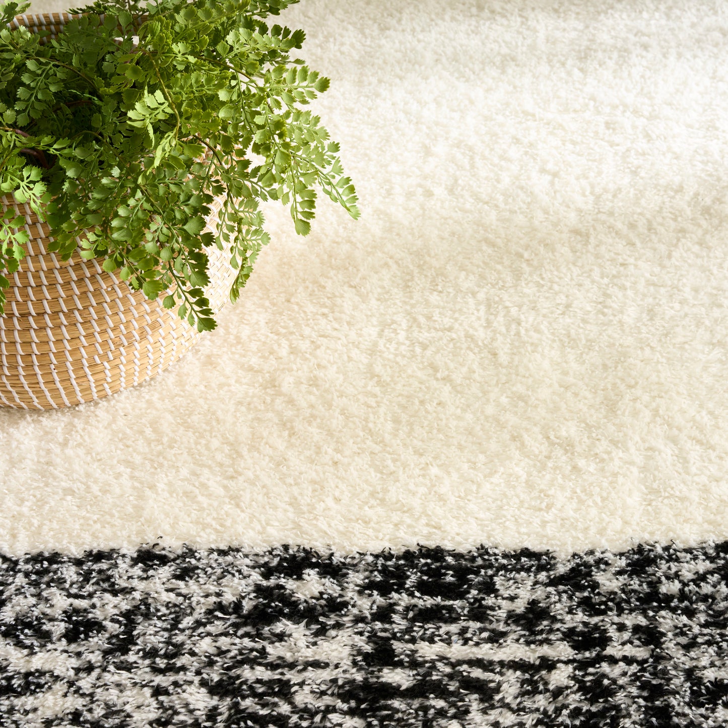 Nourison Home Pacific Shag  Ivory Black  Contemporary