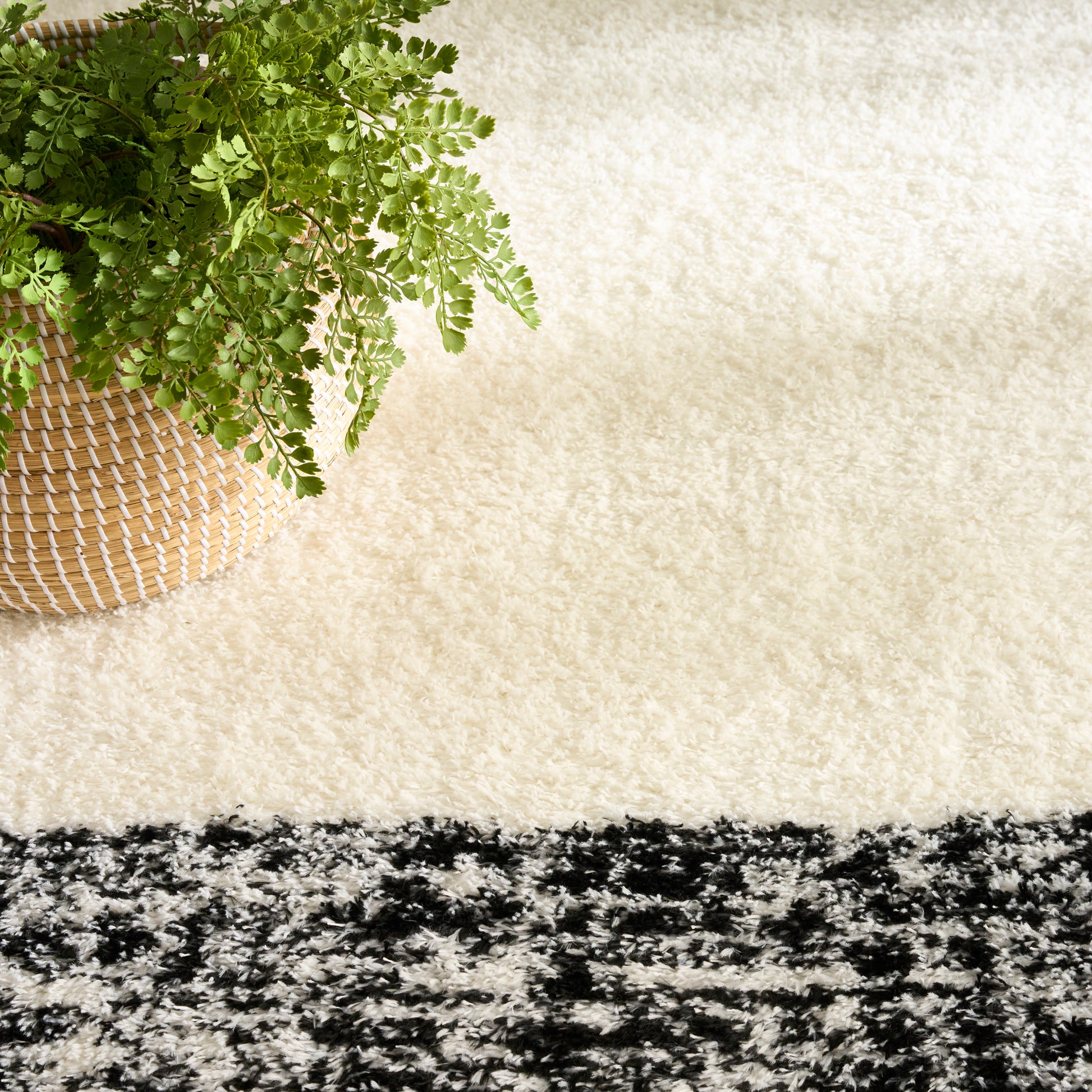 Nourison Home Pacific Shag  Ivory Black  Contemporary