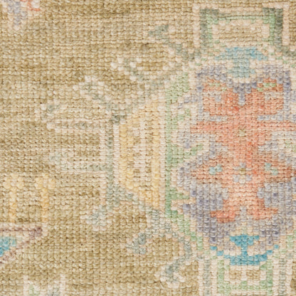Nourison Home Odessa  Sage  Traditional