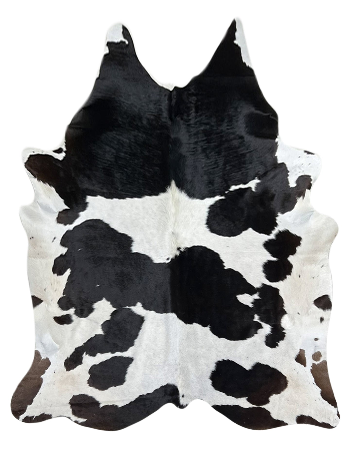 Artisan Claire 5556 Black White Hair on Hide Cowhide Shape Rug