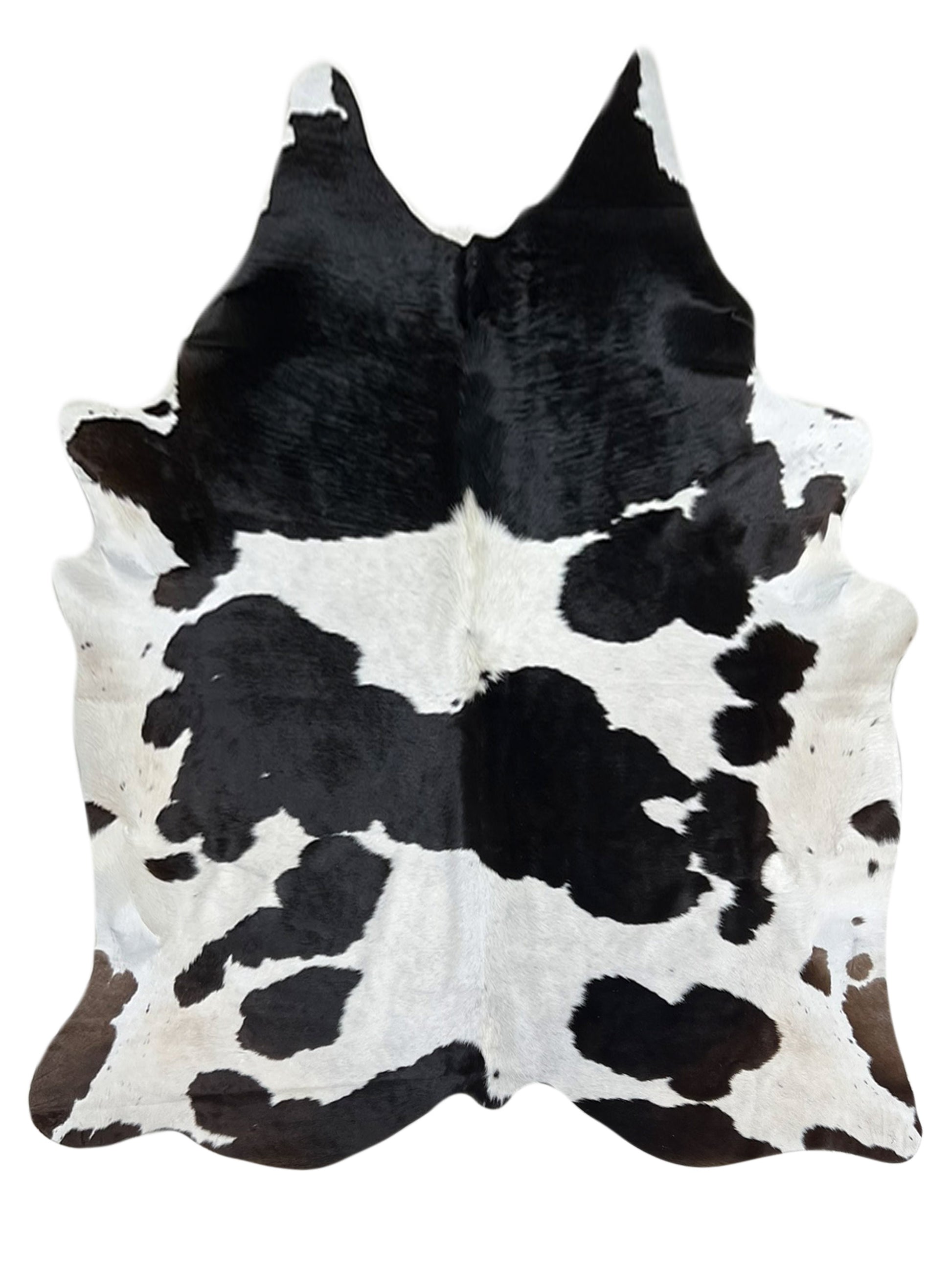 Artisan Claire 5556 Black White Hair on Hide Cowhide Shape Rug