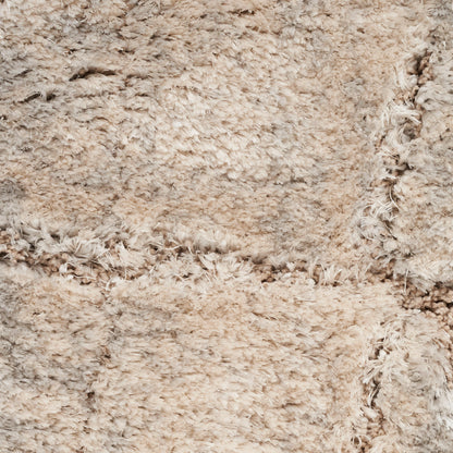 Nourison Home Dreamy Shag  Ivory Beige  Contemporary