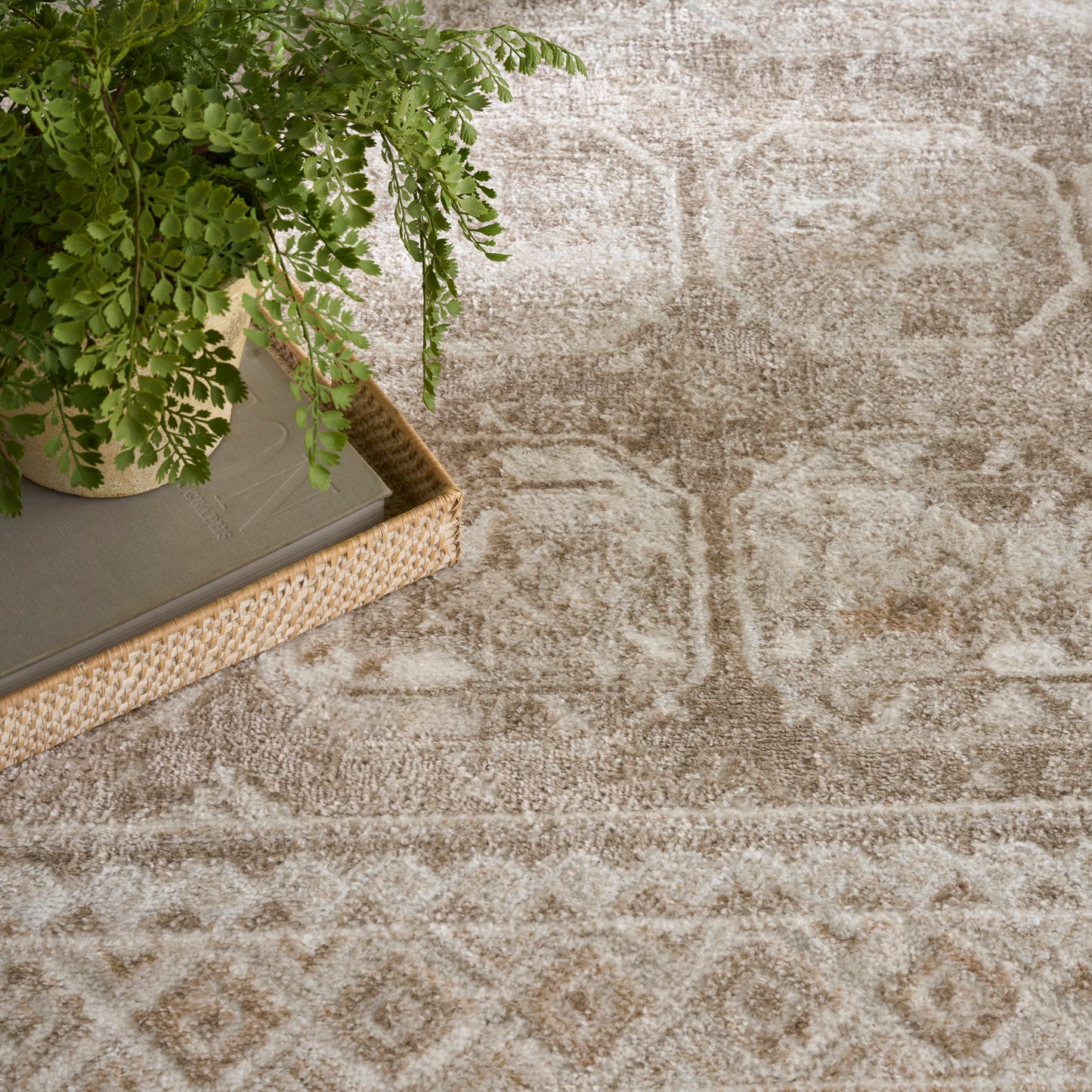 Nourison Home Dekor  Ivory Taupe  Traditional